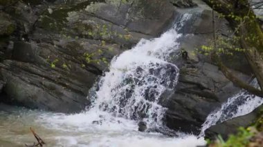 Doğa nehri şelalesi orman güneşi büyülü bir sabah. Yağmur ormanlarındaki güzel şelale. Dağ kayalıklarında şelale şelalesi. Orman manzarasında nehir şelalesi