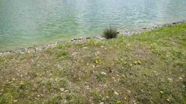 Yeşil ormanın yakınındaki sessiz göller. Göl, gökyüzü, orman. Çam ağaçlı bir orman gölünde mavi su. Sabah ve akşam yansımalı nehir ve göller..