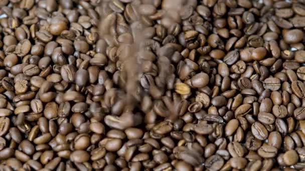 咖啡豆掉了褐色的烤咖啡豆掉在一堆上 代表早餐 新鲜或浓郁的香气 飞行中的咖啡豆 — 图库视频影像