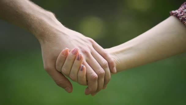 Couple Tenant Main Dans Parc Tenez Bon Les Mains Les — Video