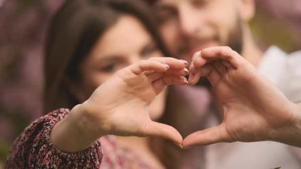 美丽的年轻夫妇手拉手 微笑着做着心形手势 庆祝圣瓦伦丁节 手做心形的夫妻的身体 快乐的年轻夫妇亲吻 — 图库视频影像