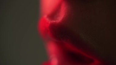 Tombul seksi dolgun dudaklar. Kırmızı ruj. Mükemmel doğal dudak makyajı. Güzel dudaklar. Seksi dolgun dudaklar, kırmızı ruj. Yakın plan mükemmel doğal dudak makyajı Güzel kadın ağzı