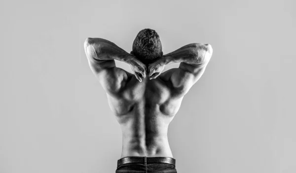 Costas musculares, homem musculoso, costas musculadas, tronco nu. Homem nu, musculoso saudável, homem do tronco, isolado. Homem com braços musculados, tríceps. Cintura, cintura. Cara com belo tronco — Fotografia de Stock