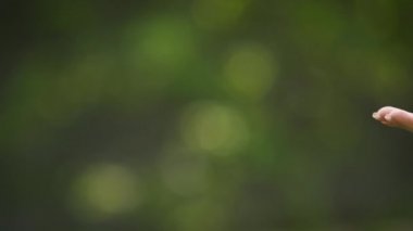 Yürürken el ele tutuşan çiftlerin yakınlaşması. Kadın ve erkek el ele. Parkta el ele tutuşan bir çift. Sıkı tutunun, eller, çiftler. Çiftler sonbahar ya da yaz parklarında el ele tutuşurlar..