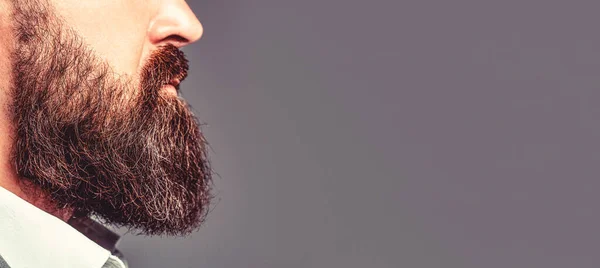 Barba Estilo Hombre Barbudo Cerca Una Barba Perfecta Primer Plano — Foto de Stock