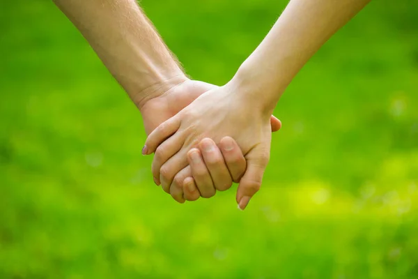 情侣们手牵手在公园里 等一下 夫妇们 情侣们手牵手在秋天或夏天的公园里 在散步时牵着手的恋人的衣服 女性和男性手牵手 — 图库照片