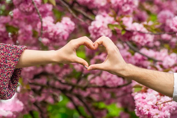 カップル 手でハートの形を作るカップルの閉鎖 女性と男性の手は心の手です 桜を背景に美しい若いカップルが指の心を作っています — ストック写真