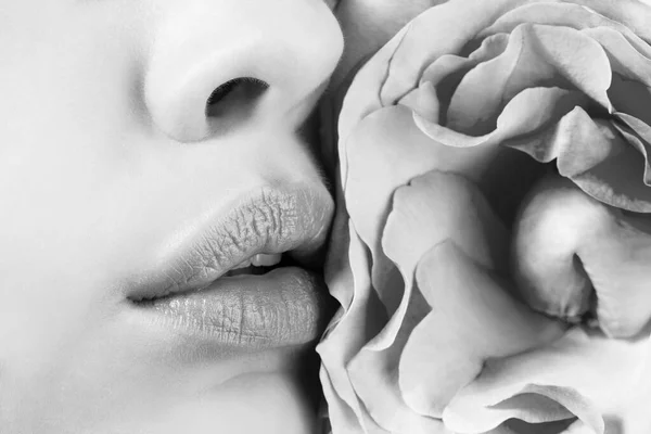 Lábios Sensuais Mulher Com Flor Rosa Feche Lábios Femininos Sexy — Fotografia de Stock