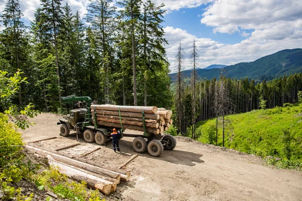 Forest industry. Wheel-mounted loader, timber grab. Felling of trees,cut trees , forest cutting area, forest protection concept. Lumberjack with modern harvester working in a forest.