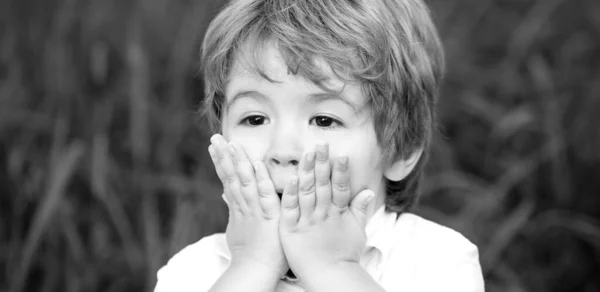 Smiling Amazed Surprised Child Boy Child Expressing Surprise His Hands —  Fotos de Stock