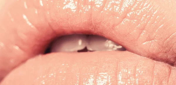 Sexy Plump Lips Nude Lipstick Close Perfect Natural Lip Makeup —  Fotos de Stock