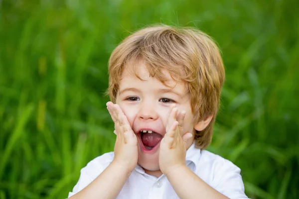 Child expressing surprise with his hands in his face. Smiling amazed or surprised child boy. Shocked and surprised boy. Funny child boy with hands close to face isolated on green background.