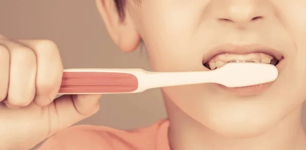 Health care, dental hygiene. Joyful child shows toothbrushes. Little boy cleaning teeth. Kid boy brushing teeth. Boy toothbrush white toothpaste. Dental hygiene. Happy little kid brushing her teeth.