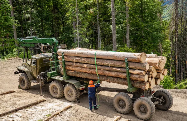 Ξυλοκόπος Σύγχρονο Θεριστή Που Δουλεύει Δάσος Δασική Βιομηχανία Φορτιστής Τροχού — Φωτογραφία Αρχείου