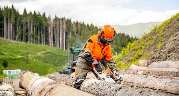 Lumberman Work Wirh Chainsaw Forest Deforestation Forest Cutting Concept Woodcutter — Stock Photo, Image