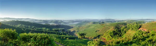 Plantaciones de té Puer — Foto de Stock