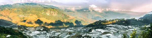 Terrazas de arroz en Junnan —  Fotos de Stock