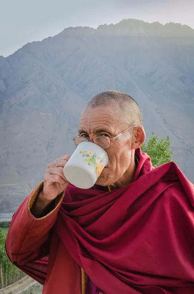 Tanjan-Lama — Stockfoto