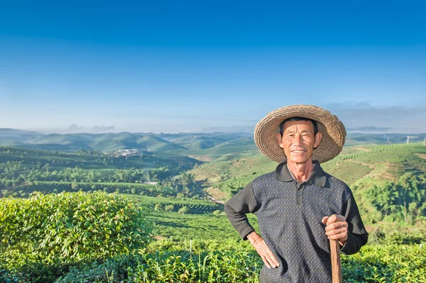 À l'aube du soleil - pour le travail ! — Photo