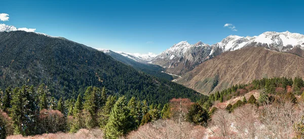 Tipo sulle montagne Sichuan dal parco Huonglong — Foto Stock