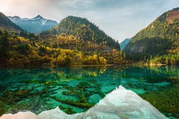 Transparent lakes Jiuzhaigou park... — Stock Photo, Image