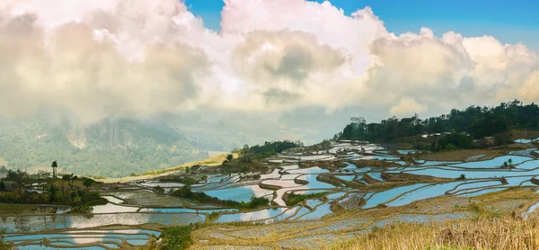 Terrazas de arroz en pueblo de Xinjie - 2 —  Fotos de Stock