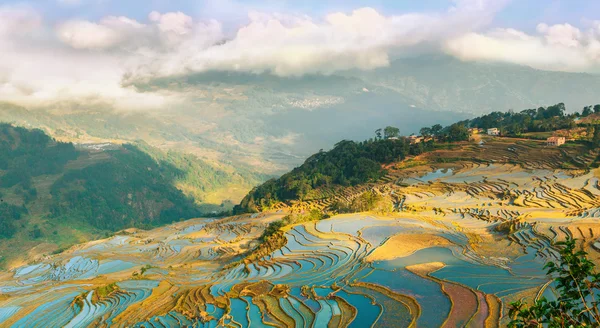 Terrasses de riz dans le village de Xinjie - 3 — Photo