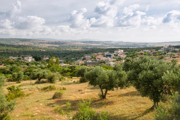 Jardins de Israel — Fotografia de Stock