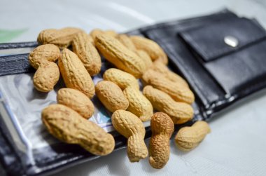 groundnuts on wallet clipart