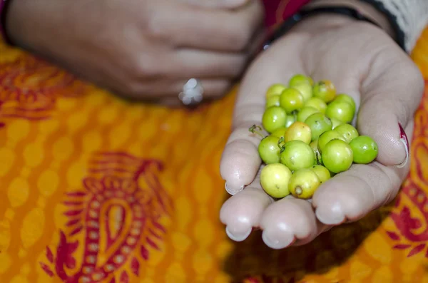 Indian jujube berry — Stock Photo, Image