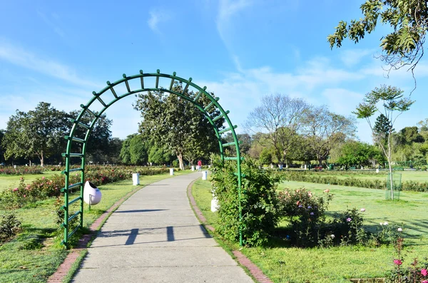 Jardín del parque — Foto de Stock