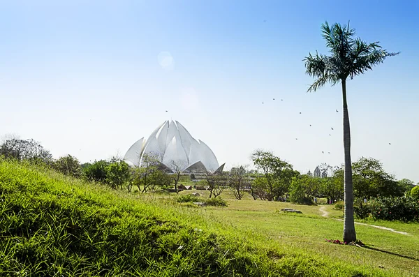 Tempio del loto a New Delhi India asia con erba e cocco — Foto Stock