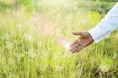 çim dokunmadan el veya kırpma alana