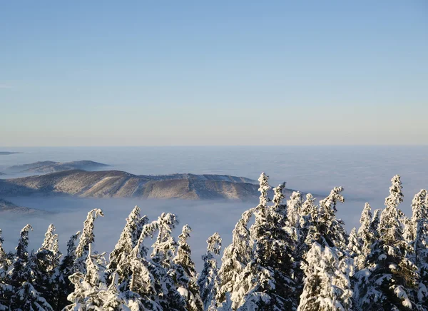 Czech mountains in fog. — Stock Photo, Image