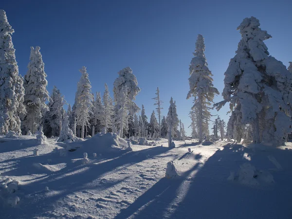 Lever de soleil d'hiver dans les montagnes tchèques . — Photo