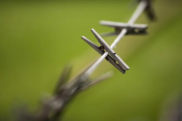 Pinos em uma corda . — Fotografia de Stock