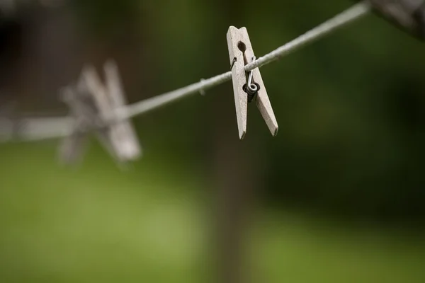 Kolíky na laně. — Stock fotografie