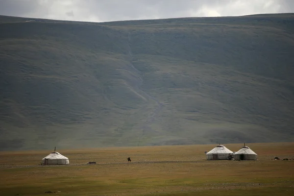 Mongolie — Photo