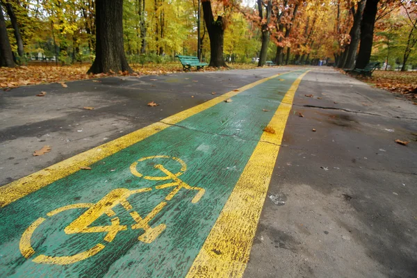 Autumn and a bicycle — Stock Photo, Image