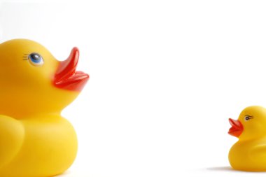 Anne ve ördek yavrusu