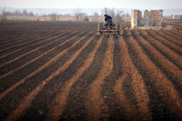 Traktor auf einem Feld — Stockfoto