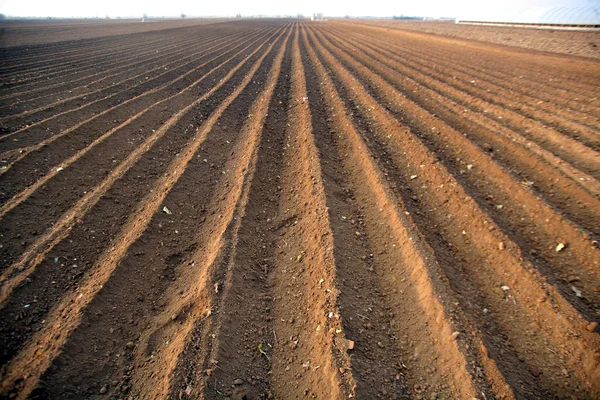 Landwirtschaft — Stockfoto