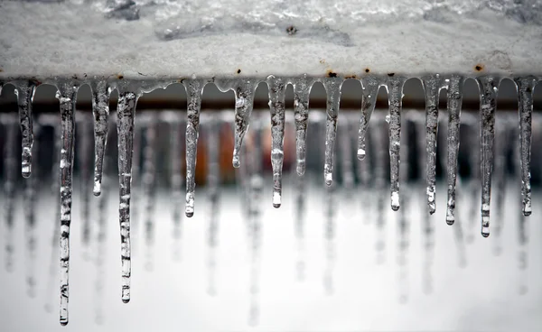 Line of icicles — Stockfoto