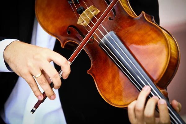 Tocando viola —  Fotos de Stock