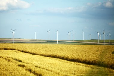 Rüzgar değirmenleri