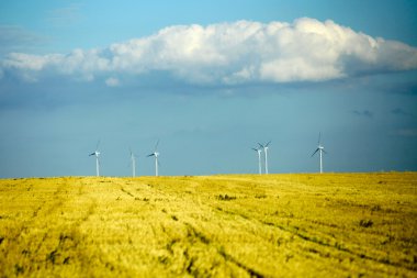 Rüzgar değirmenleri