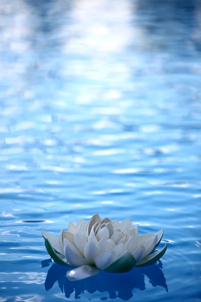 Kunstmatige water lilly — Stockfoto