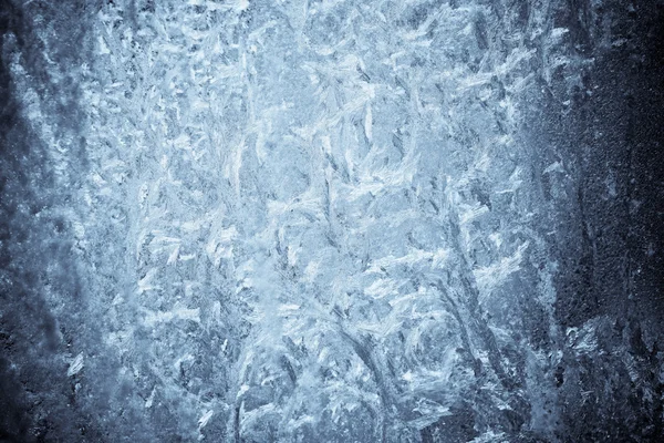 Icy flowers — Stock Photo, Image