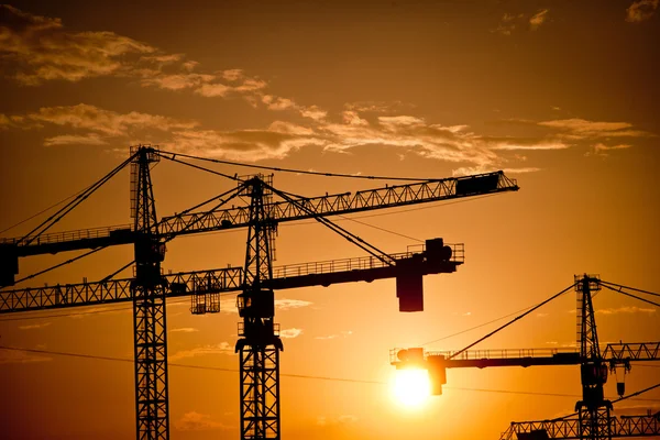 Cranes at dusk — Stock Photo, Image