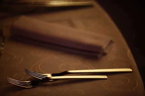 Abendessen im Restaurant — Stockfoto